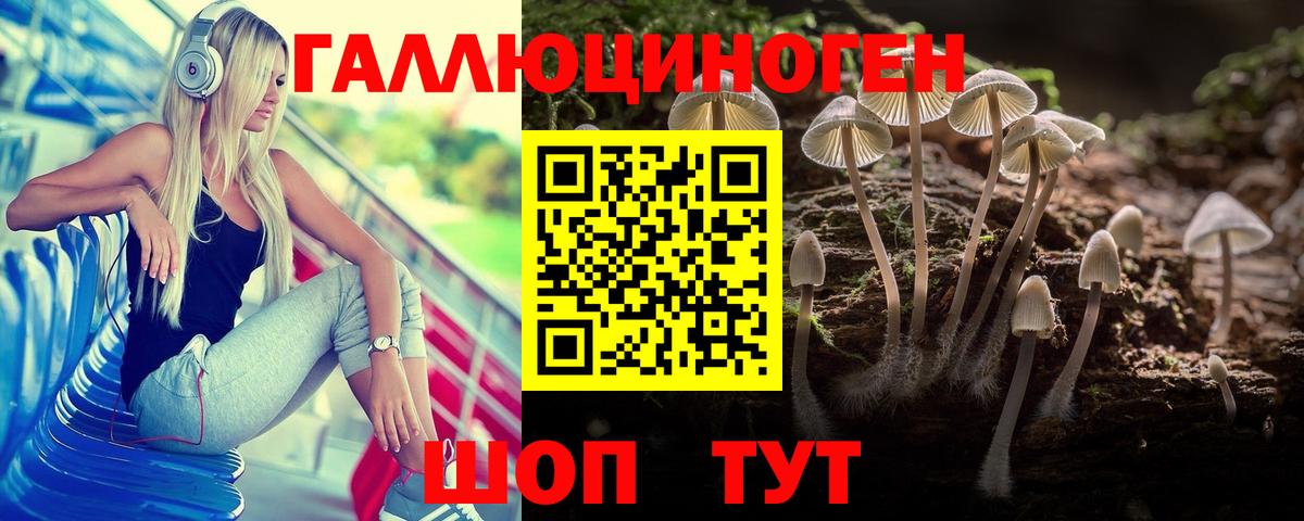 Галлюциногенные грибы GOLDEN TEACHER Усолье-Сибирское